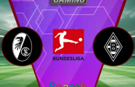 Freiburg vs M'Gladbach 30 November 2024
