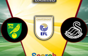 Norwich City vs Swansea City 25 Januari 2025