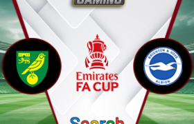 Norwich City vs Brighton 11 Januari 2025