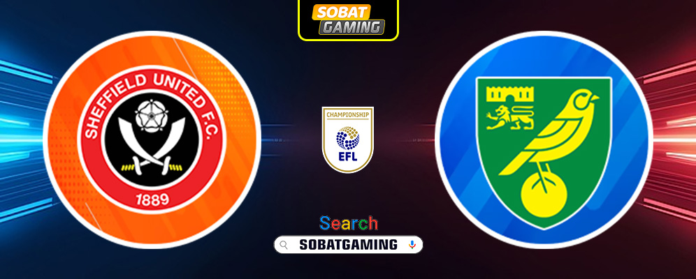 Sheffield United vs Norwich City 18 Januari 2025