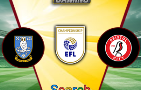 Sheffield Wednesday Vs Bristol City 23 Januari 2025