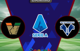 Venezia vs Hellas Verona 28 Januari 2025
