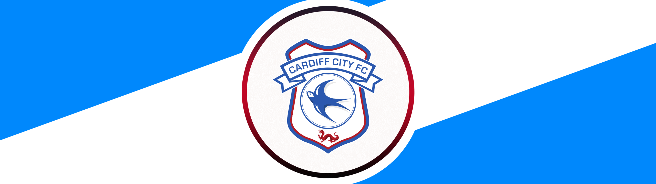 CARDIFF CITY