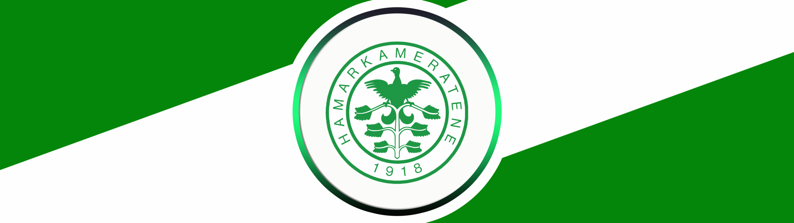 HAMARKAMERATENE