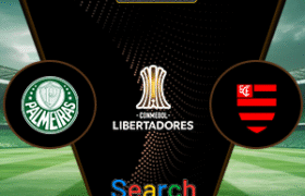 Palmeiras Vs Flamengo 30 November 2025