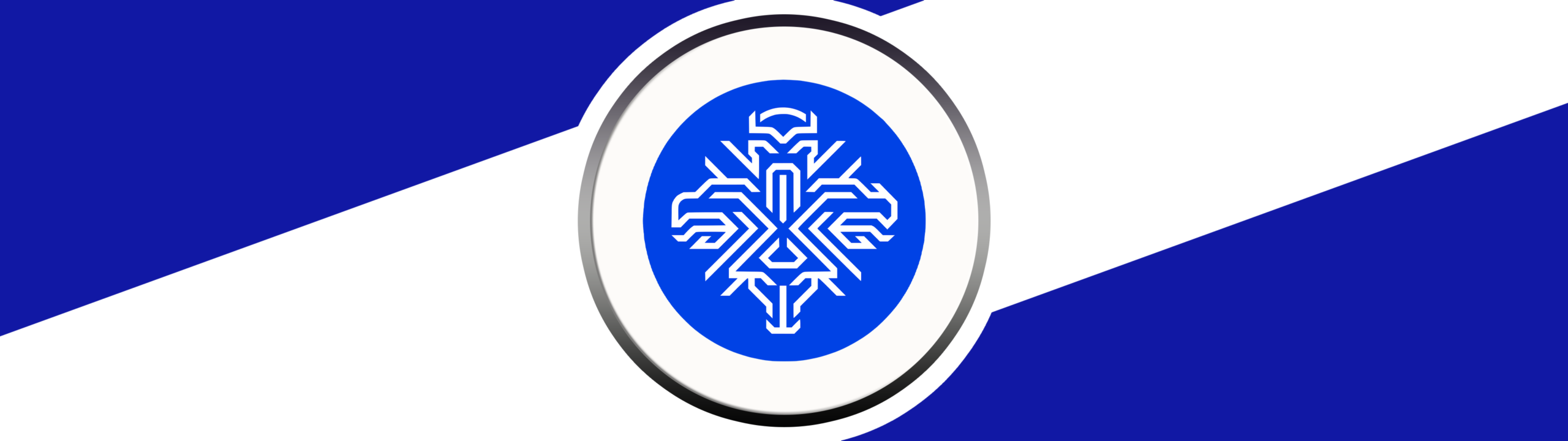 ICELAND NATIONAL FOOTBALL TEAM