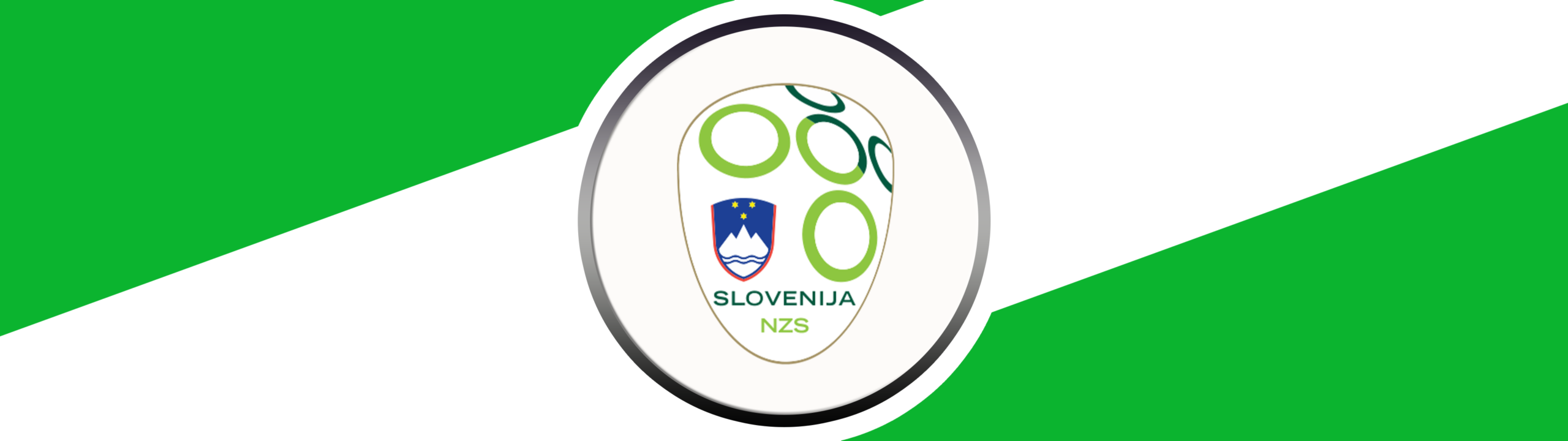 SLOVENIA NATIONAL FOOTBALL TEAM