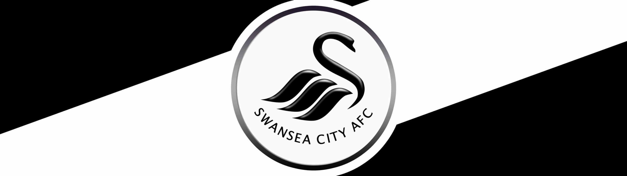 SWANSEA CITY